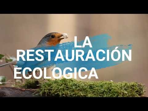 Restauración ecológica
