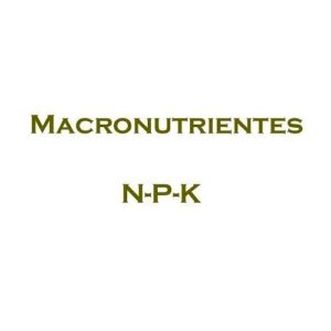 macronutrientes