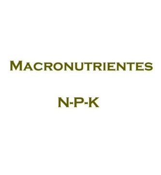 macronutrientes