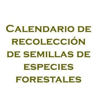Calendario de recolleción de semillas forestales