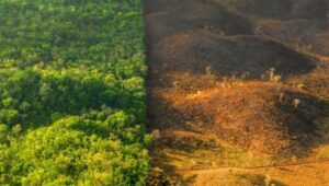 restauración parque natural del Estrecho